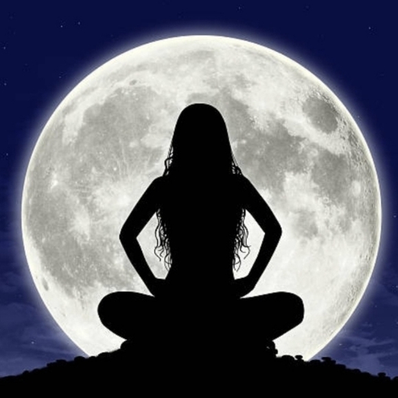 Meet Luna - Picture 6 of 16